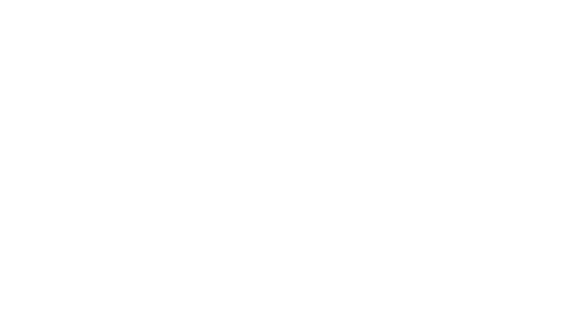 Logo NC Coach